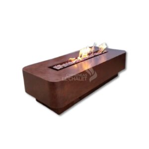 Chimenea exterior moderna con fuego real de diseño.